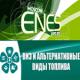 Сроки проведения выставок ENES и REenergy перенесены на декабрь 2013 года