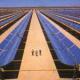 В Казахстане началось строительство завода солнечных преобразователей мощностью 60 МВт