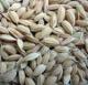 На Кубани намерены построить первый в России завод по утилизации рисовой шелухи