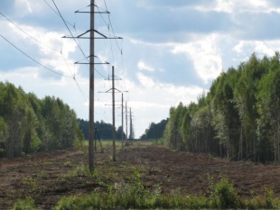 Решение о введении социальной нормы потребления электроэнергии в Алтайском крае отложено до 1 июля 2016 года
