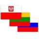 Утверждены проекты в рамках программы сотрудничества России с Литвой и Польшей