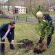 В Хакасии стартовала Всероссийская акция «Сохраним энергию леса»
