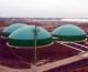 В Пермском крае объявлено о строительстве биогазовой станции на основе отходов КРС