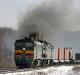 Российские железные намерены перейти с угля на биотопливо